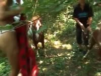 Horse creampie a teen on the farm